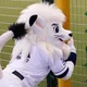 Leo the Seibu Lion