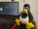 Average Linux user
