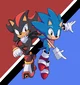Sonic and Shadow