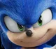 Brainrot Movie Sonic