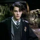 Tom Riddle 