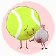 Tennis Ball