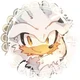 Silver The Hedgehog 
