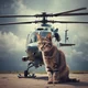 Pilot cat