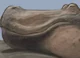 hippopotamus gorgops
