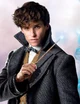 Newton Scamander