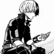 Todoroki Shoto