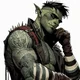The Half-Orc