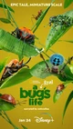 A Bugs Life