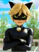 Cat Noir 