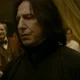 Snape regalo 