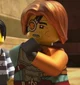 Ronin ninjago