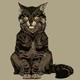 TIGERCLAW -WC-