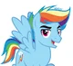 Male Rainbow Dash