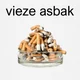 Vieze Asbak