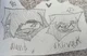 Aland x Oklivak