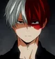 Shoto Todoroki