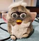 Prototype furby 