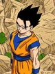 Son Gohan