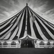 The Circus