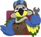 Mollie macaw 