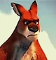red kangaroo