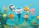HTTYD Octonauts