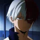 Shoto Todoroki 