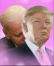 Joe Biden x Trump