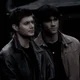 The Winchesters