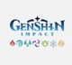 Genshin Impact cstom