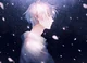 The ghost 
