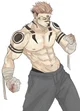 Sukuna is your class