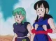 ChiChi and Bulma