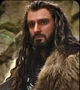 Thorin Oakenshield