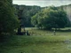Maze Runner Glade