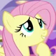 Fluttershy
