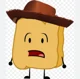 Woody  From BFDI