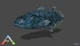 Coelacanth 