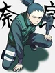 Shikamaru Nara