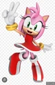 Amy Rose 
