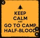 Camp Half-Blood 