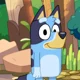 Bluey Heeler