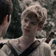 Newt - Tmr