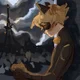 Chatnoir