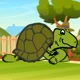 Tippy the Turtle