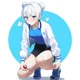 GymLeaderRobin