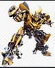 Bumblebee tf07