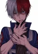 Todoroki Shoto