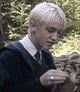 Draco M 